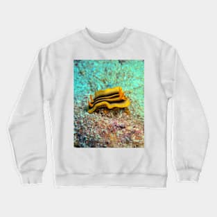 PUMPKIN Crewneck Sweatshirt